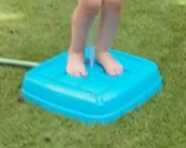 PalPlay Step ‘n Splash - NSG Products