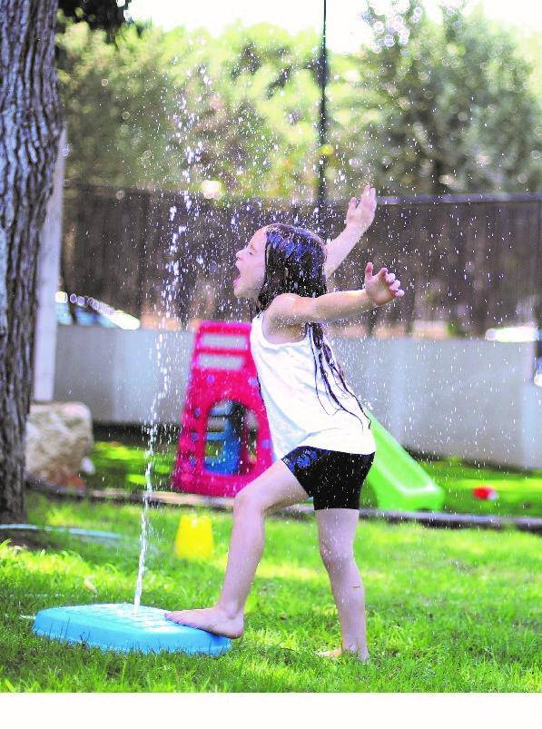 PalPlay Step ‘n Splash - NSG Products