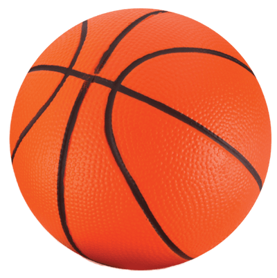 NSG Over The Door Combo: Speed Bag & Basket ball - NSG Products